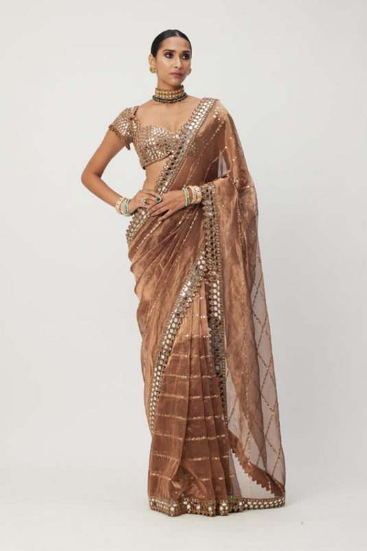 Copper Shimmer Organza saree set