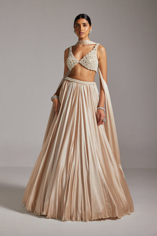 Light Beige V Neck Satin skirt Set