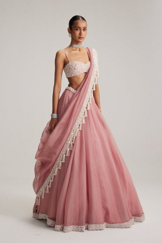 Dusty Rose Organza mirror and pearl lehenga set