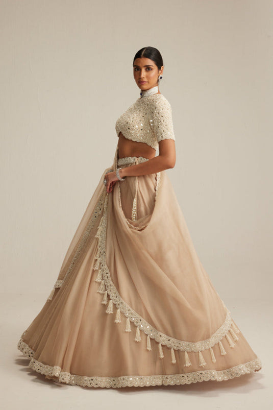 Light Beige High Neck Organza mirror and pearl lehenga set