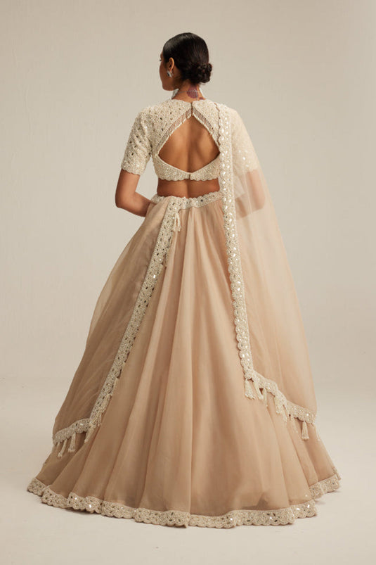 Light Beige High Neck Organza mirror and pearl lehenga set