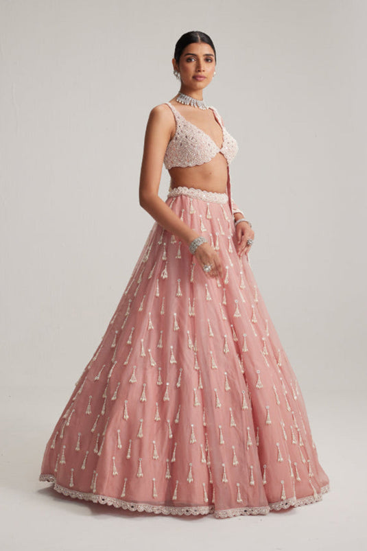 Dusty Rose Organza Long pearl tassels lehenga set