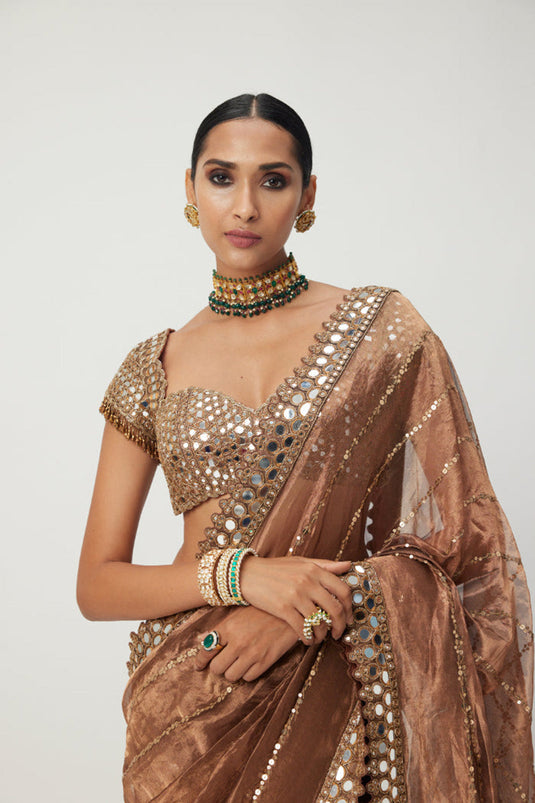 Copper Shimmer Organza saree set