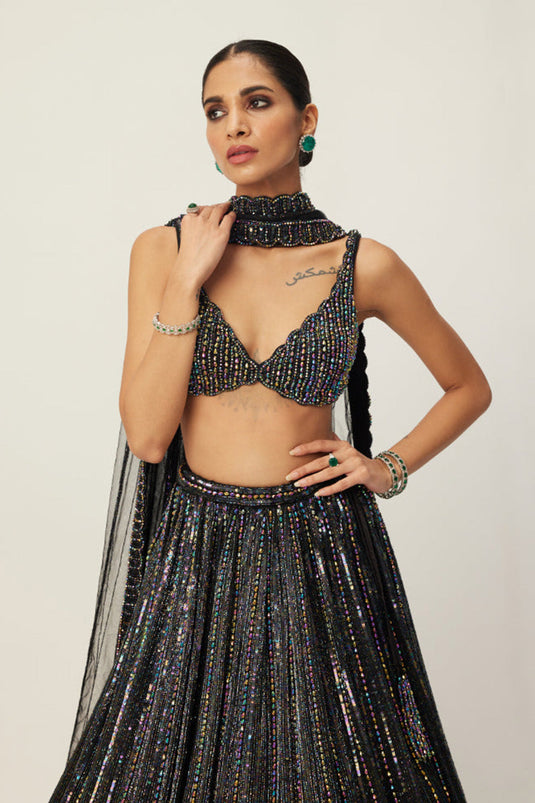 Black crystal Linear Embroidered Lehenga Set