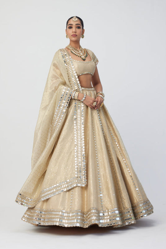 Golden Shimmer Organza Linear Lehenga Set