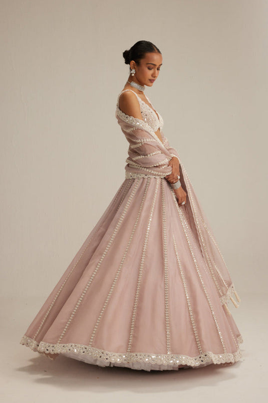 Ash Pink Pearl Mirror linear Lehenga with V neck Blouse