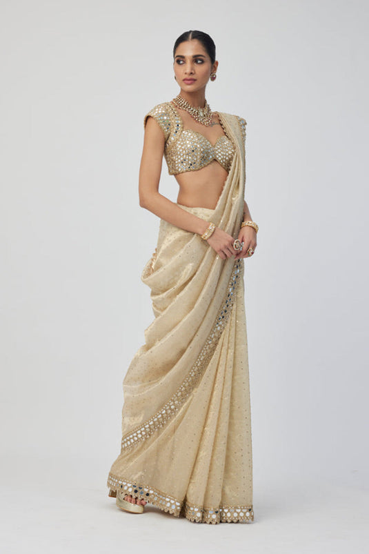 Golden Shimmer Organza saree set