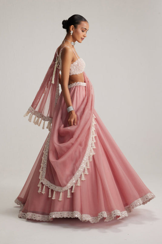 Dusty Rose Organza mirror and pearl lehenga set