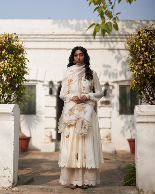 Salma Sitara Rani Kali Kurta set