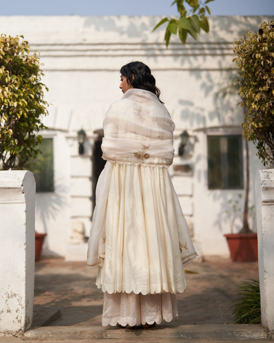 Salma Sitara Rani Kali Kurta set