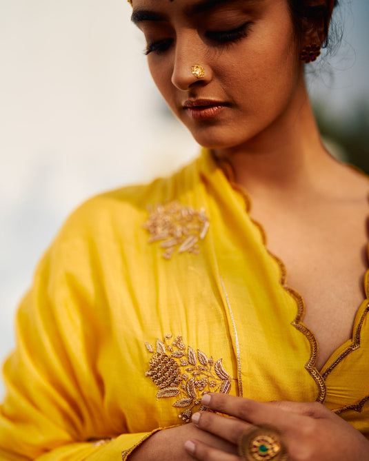 Rani Champa Makhmal Lehenga set