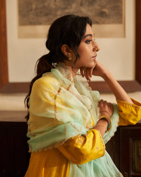 Sunahri dhoop Kali Kurta set