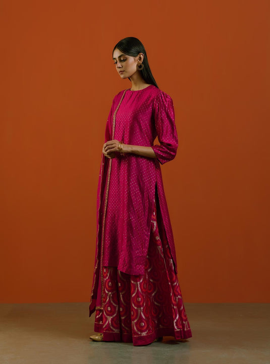 Gulabi Sitara Sharara Set