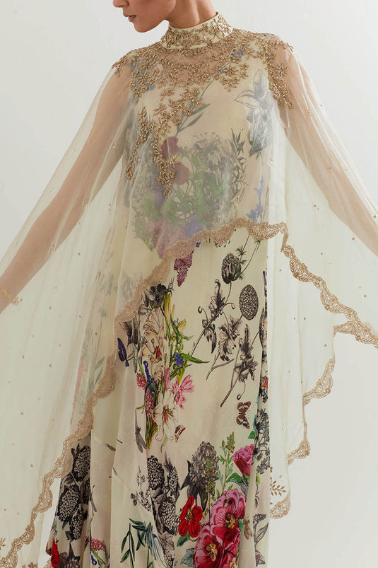 Multi Colour Cape With Dress