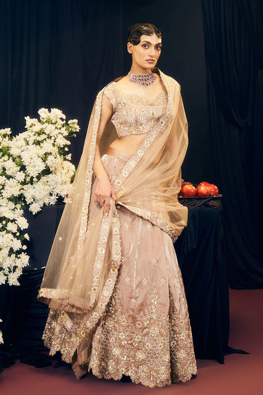 Nude/ Brown Lehenga Set