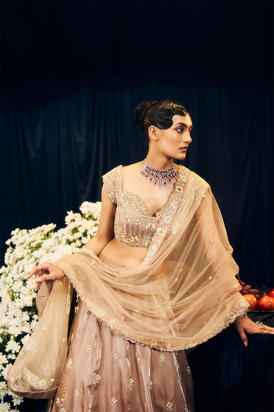 Nude/ Brown Lehenga Set