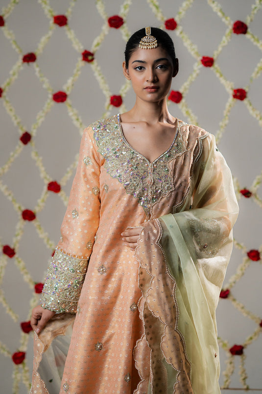 Peach Melon Booti Tissue Gharara Set