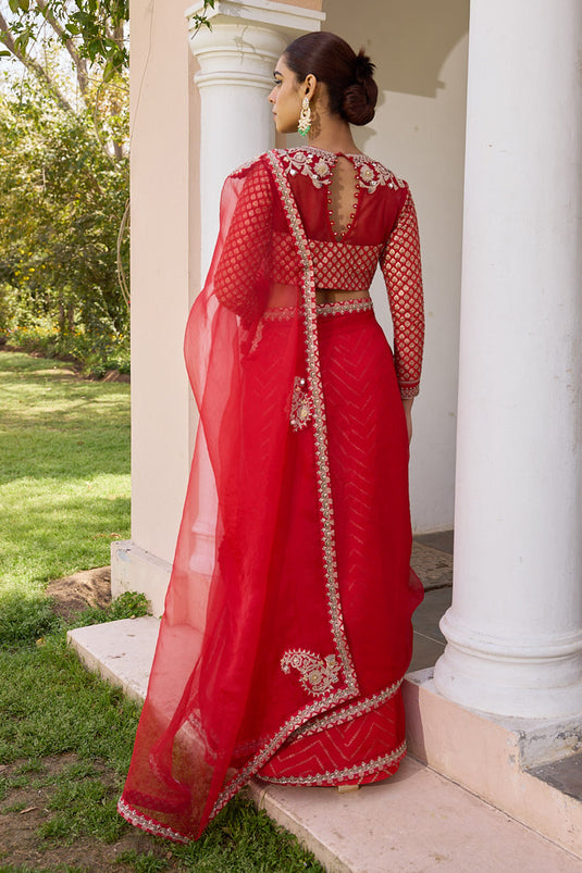 Red pure organza saree with embroidered blouse and jacquard under skirt