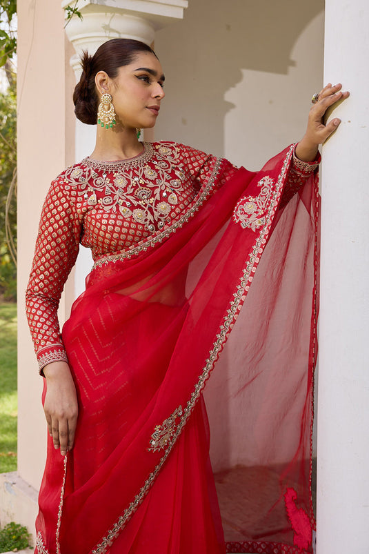 Red pure organza saree with embroidered blouse and jacquard under skirt