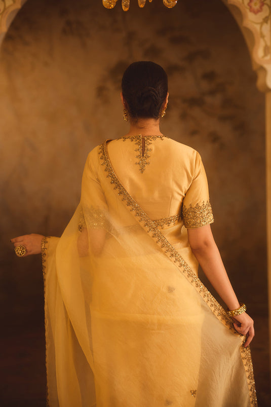Tajra Gold Organza Saree With Zero-Neck Blouse