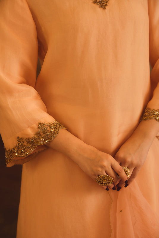 Tajra Peach V-Neck Organza A-Line Kurta Set