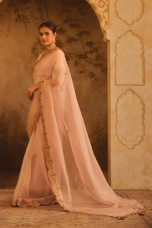 Tajra Pink Organza Saree With V-Neck Blouse