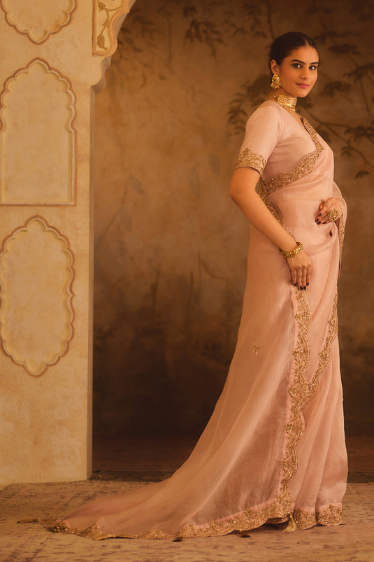 Tajra Pink Organza Saree With V-Neck Blouse