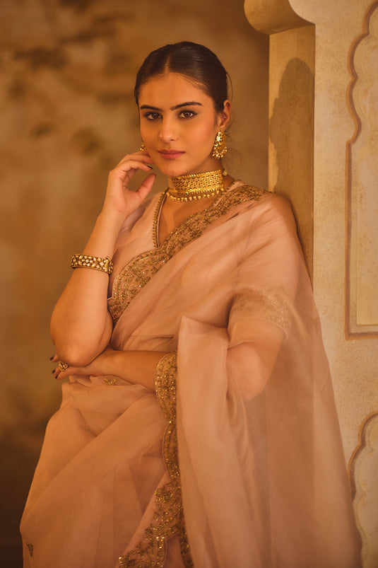 Tajra Pink Organza Saree With V-Neck Blouse