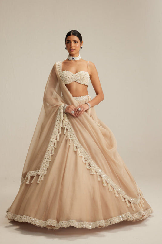 Light Beige Organza mirror and pearl lehenga set