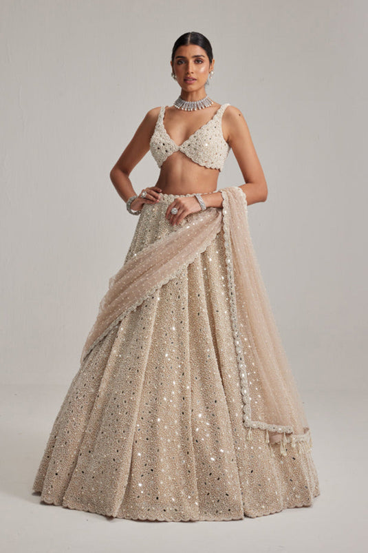 Light Beige Dense mirror and pearl lehenga set