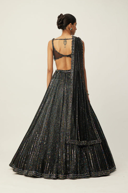 Black crystal Linear Embroidered Lehenga Set