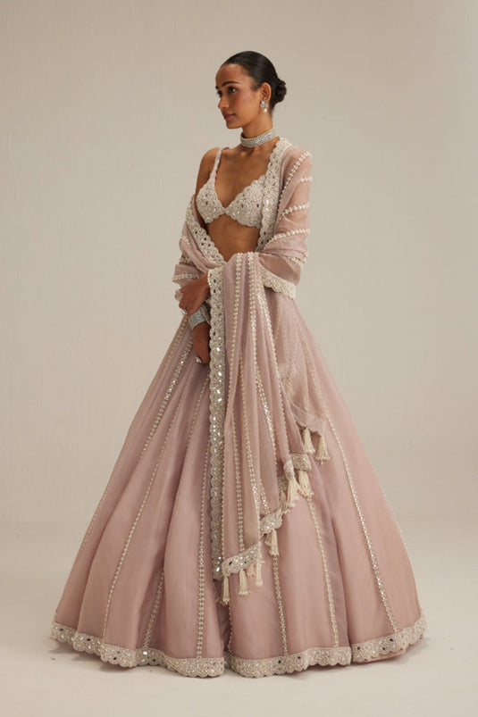 Ash Pink Pearl Mirror linear Lehenga with V neck Blouse