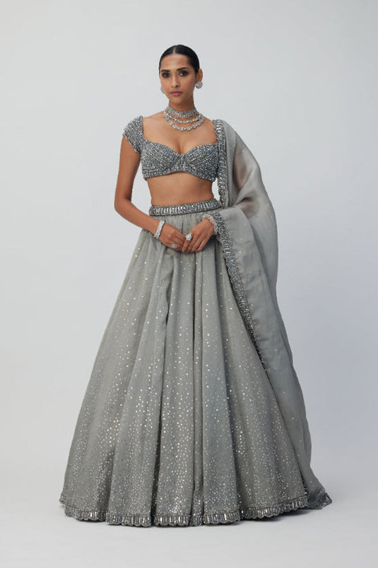 Crystal Grey Sequins Scattered Organza Lehenga Set