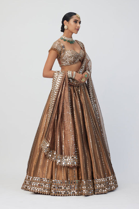 Copper Shimmer Organza Linear Lehenga Set