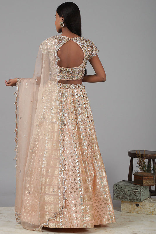 Embroidered Pink Lehenga Set - Auraya Fashion -  - #tag1# - #tag2# - #tag3# - #tag3#