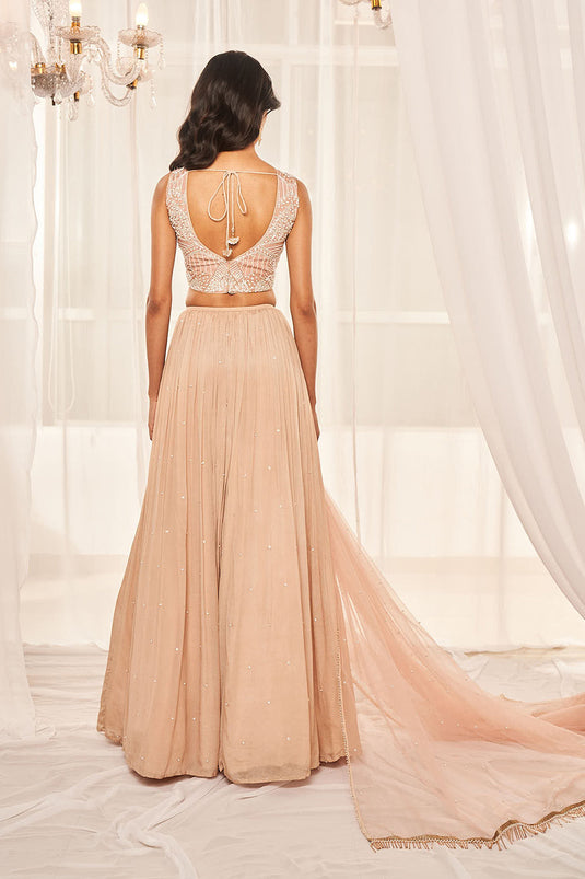 Blush Pink Lehenga Set