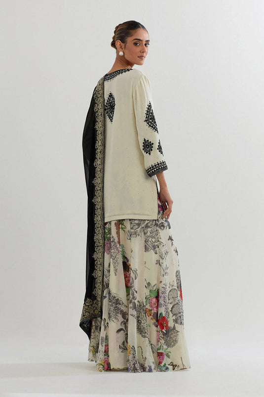 Multi Colour Sharara Set