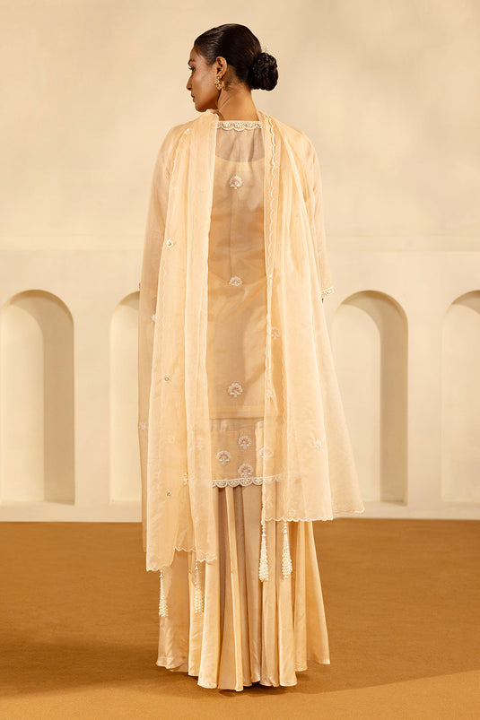 Nude Sharara Set