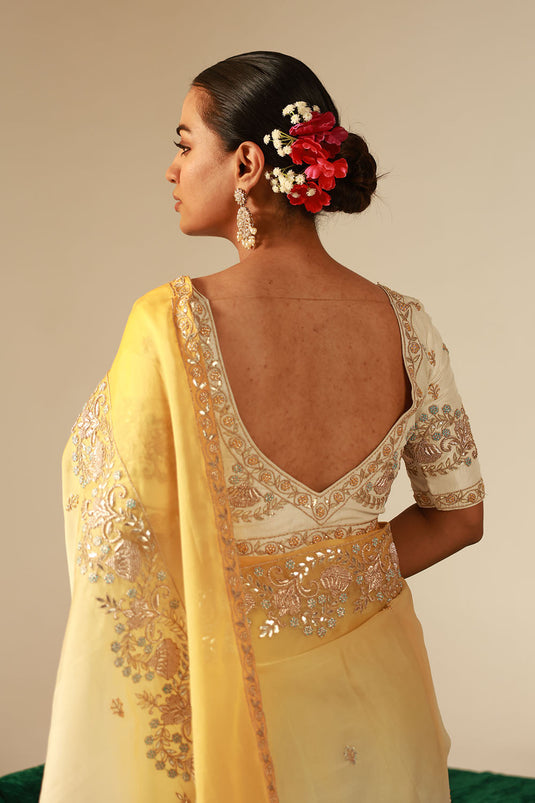 Ombre Organza Silk Saree