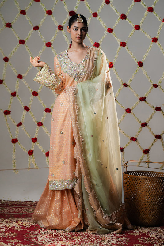Peach Melon Booti Tissue Gharara Set