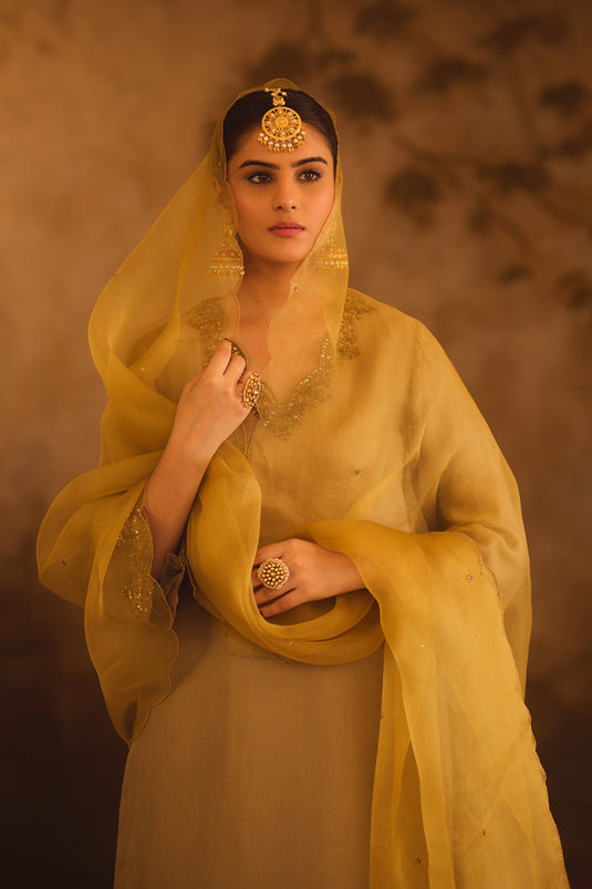 Tajra Green V-Neck Organza A-Line Kurta Set