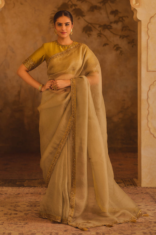 Tajra Grey & Green Organza Saree With Zero-Neck Blouse
