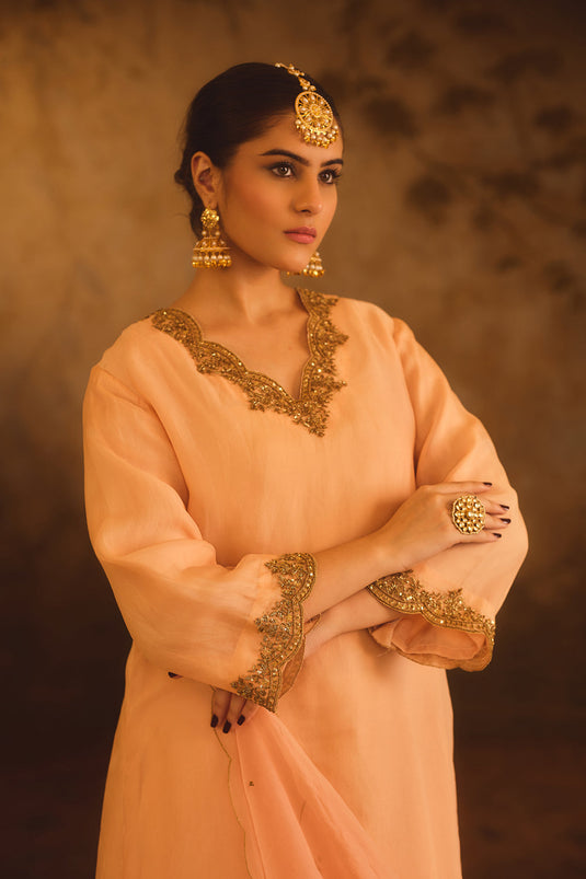 Tajra Peach V-Neck Organza A-Line Kurta Set